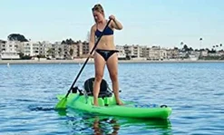 Perception Kayaks Perception Paddle Hi Life Convertible 3/ 2 Piece Paddle -Kayaks Store hi life in use 2